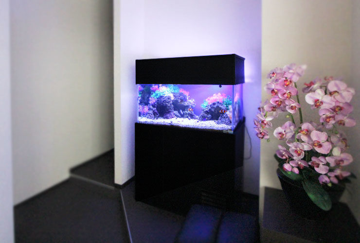 神奈川県横浜市 歯科クリニック 90cm海水魚水槽 販売・メンテナンス事例のサムネイル画像