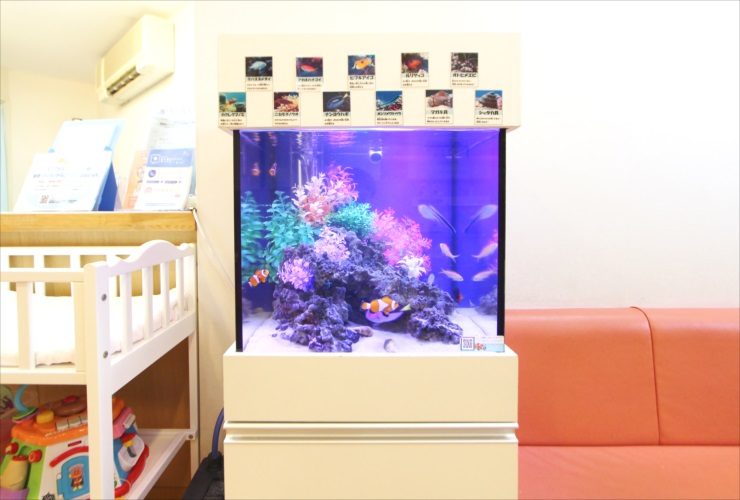 神奈川県横浜市 小児科の待合室 45cmキューブ水槽レンタル事例 その後 水槽画像1