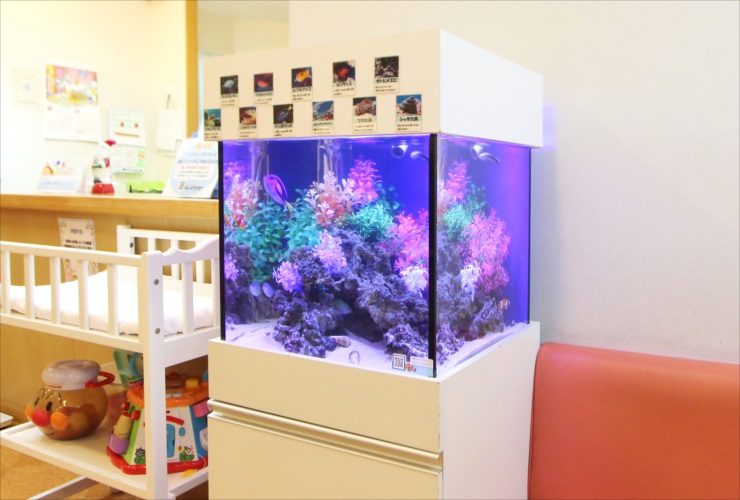 神奈川県横浜市 小児科の待合室 45cmキューブ水槽レンタル事例 その後 水槽画像3