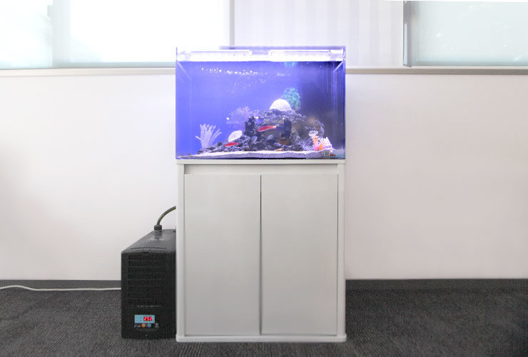 東京アクアガーデンの水槽リースサービス。海水魚水槽