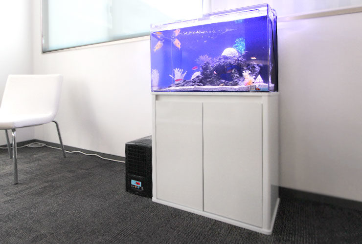 白い水槽台に設置された青い照明の海水魚水槽と黒いクーラー