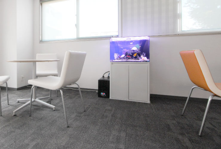 白い椅子とテーブルがある部屋に置かれた海水魚水槽