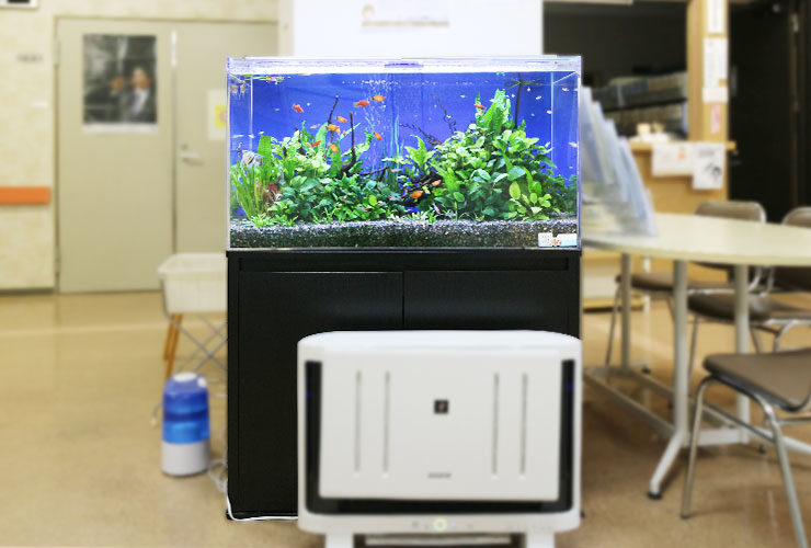 あきる野市 内科クリニック 90cm淡水魚水槽 水槽レンタル事例のサムネイル画像
