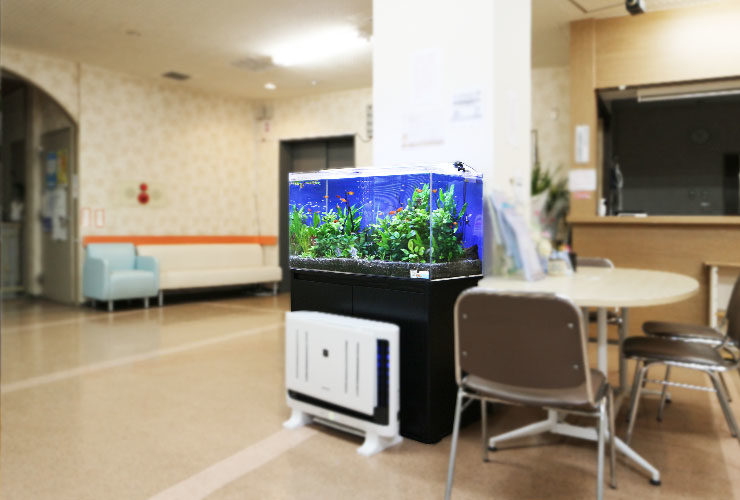 病院の待合室に設置された水草と小型魚の熱帯魚水槽