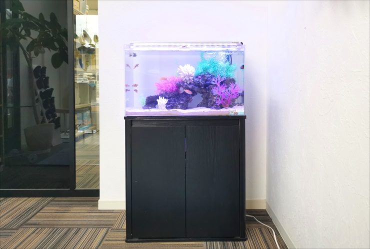 黒い水槽台に置かれたカラフルな人工水草の熱帯魚水槽