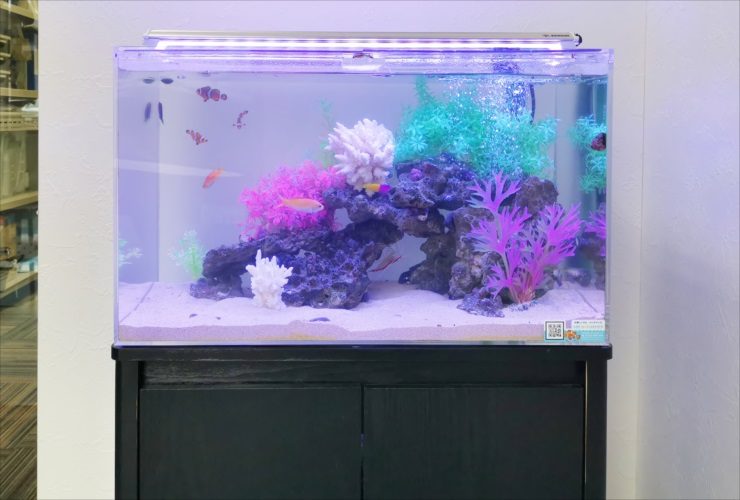 カラフルな人工水草と岩を配置した海水魚水槽の全景
