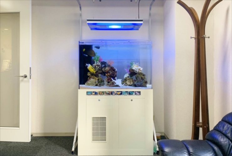 青い照明が灯る海水魚水槽と白い水槽台の設置風景