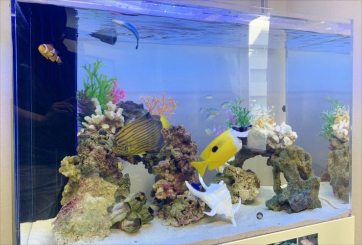 海水魚とライブロックを配置したアクリル水槽の全景