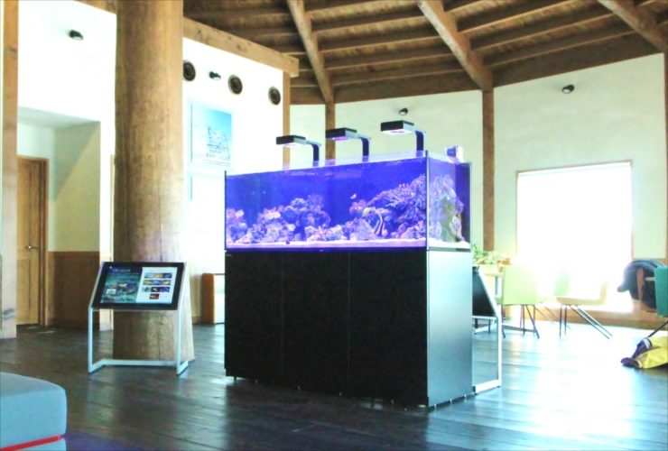 北海道苫小牧市　企業施設　150cm海水魚・サンゴ水槽入替事例