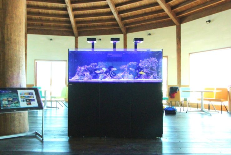 北海道苫小牧市　企業施設　150cm海水魚・サンゴ水槽入替事例
