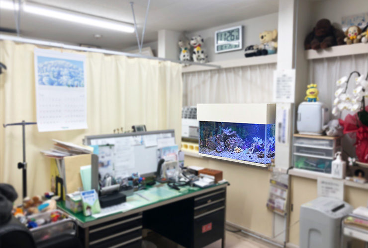 事務室のデスク横に設置された壁掛け式の海水魚水槽