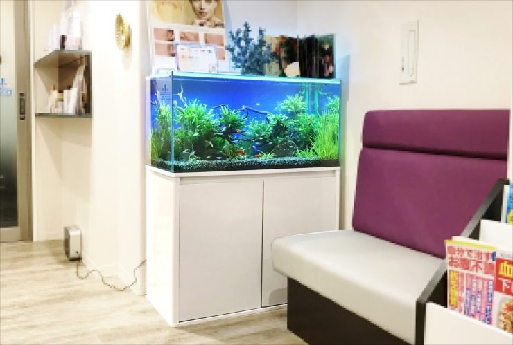 美容皮膚科・婦人科にふさわしい、90cmの水草水槽