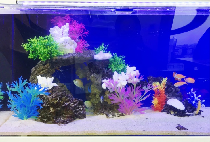 カラフルな人工水草と岩で飾られた海水魚水槽のレイアウト
