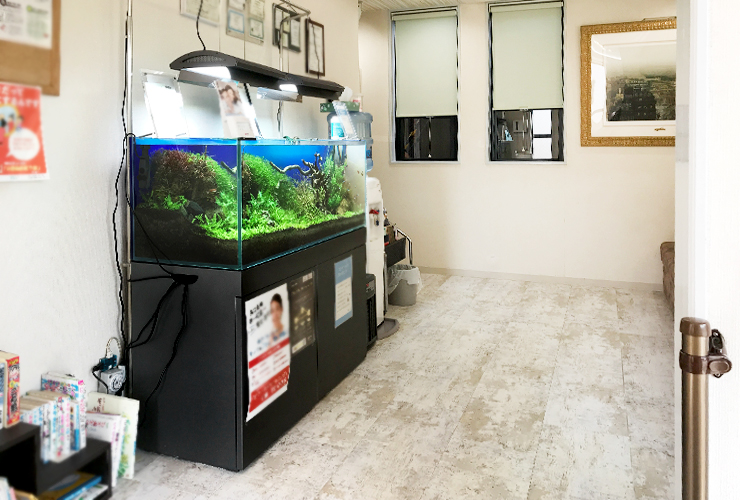 120cm淡水魚水槽 メンテナンス画像5