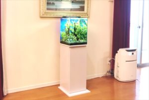 兵庫県尼崎市　個人宅のリビング　30cm水草水槽　販売・設置事例 水槽画像２
