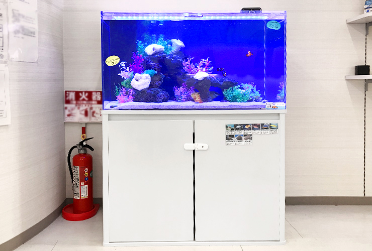 青い照明の海水魚水槽と白い水槽台と消火器