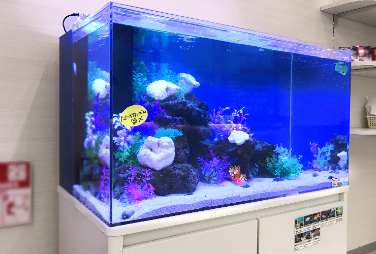 青い照明に照らされたサンゴ岩と人工水草の海水魚水槽