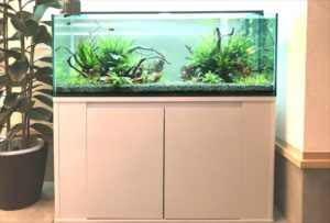 大阪 モデルルームのエントランス 120cm淡水魚水槽 レンタル事例 水槽画像2