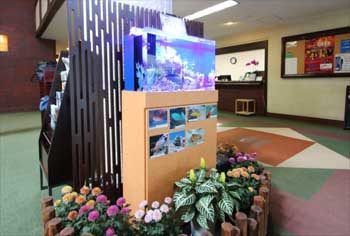 ゴルフ倶楽部　エントランス 60cm海水魚水槽　水槽レンタル事例 水槽画像１