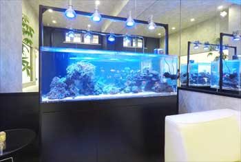 神奈川県川崎市 オフィス 150cm海水魚水槽 販売・設置事例 その後 水槽画像1