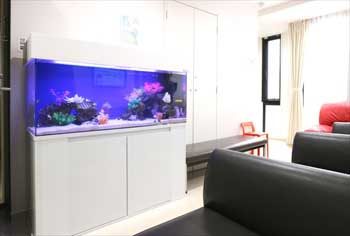 練馬区 皮膚科小児科の待合室 120cm海水魚水槽 水槽リース事例 水槽画像1
