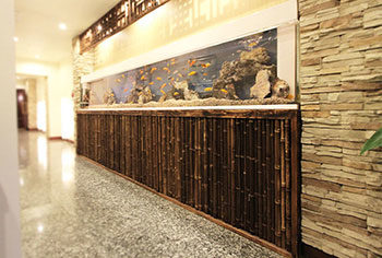 東京都台東区 店舗 420cm埋め込み淡水魚水槽 メンテナンス事例 水槽画像1