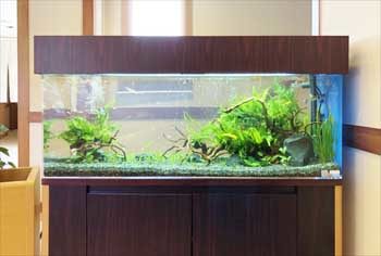 神奈川県湯河原町 老人ホーム 120cm淡水魚水槽 販売・メンテナンス事例 水槽画像2