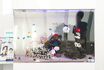 愛知県 眼科クリニックの待合室 90cm海水魚水槽レンタル リニューアル事例 水槽画像２