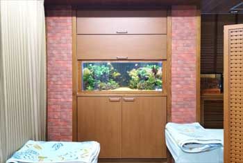 病院 120cm淡水魚水槽 リセット・メンテナンス事例 水槽画像3