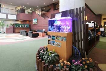 ゴルフ倶楽部　エントランス 60cm海水魚水槽　水槽レンタル事例 水槽画像３