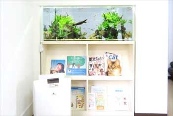 クリニックの待合室 壁埋め込み型 120cm淡水魚水槽 販売メンテナンス事例 その後 水槽画像3