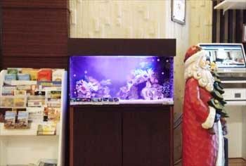 厚木市 ホテルのエントランス 90cm海水魚 水槽レンタル 移動事例 水槽画像3