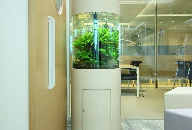 品川区 オフィス事務所 円柱アクアリウム 水槽レンタル&水槽販売事例 水槽画像3
