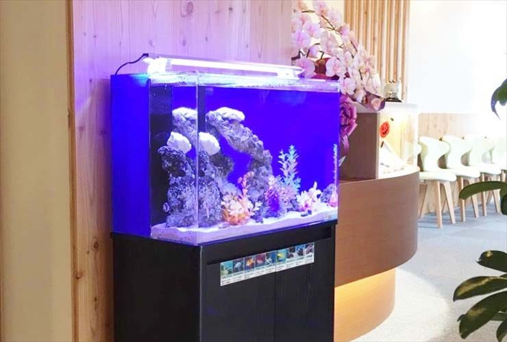 歯科口腔外科クリニック アクアリウム