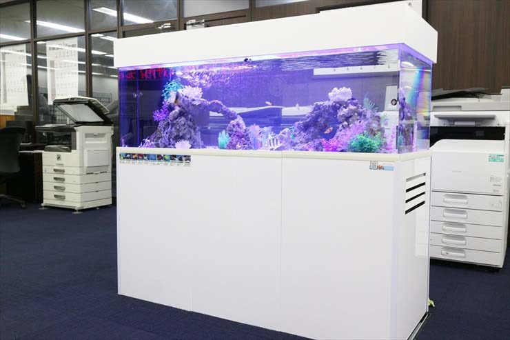 新宿 オフィス アクアリウム 150cm海水魚水槽レンタル事例のサムネイル画像