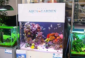 「水槽の楽園」にて放送されました 水槽画像2