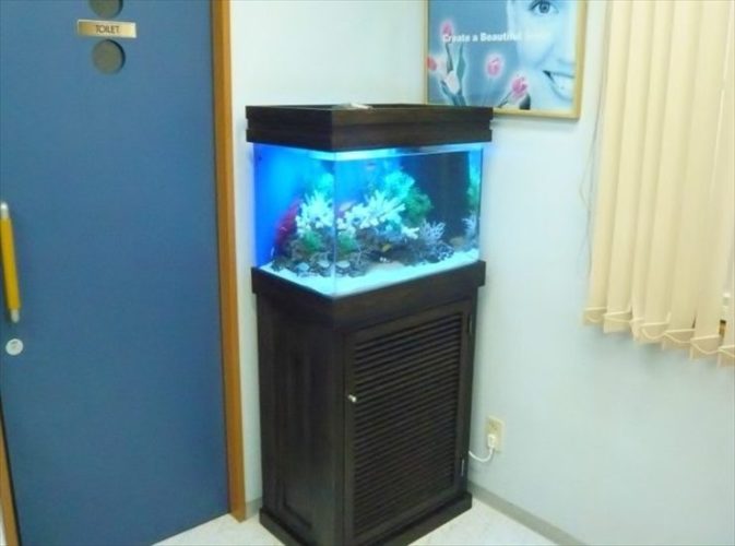 横浜市 歯科医院様 60cm海水魚水槽 設置事例のサムネイル画像