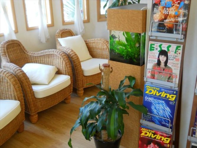 茨城県牛久市 脳神経クリニック様 水槽設置事例のサムネイル画像