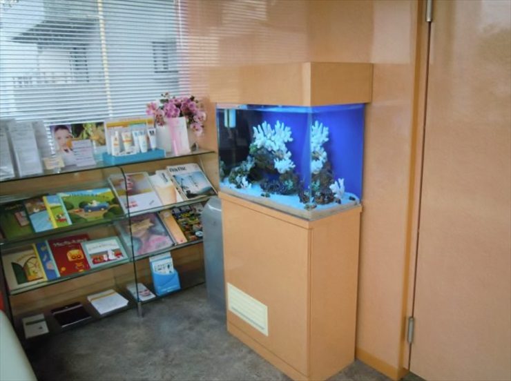 渋谷区 皮膚科様 60cm海水魚水槽 水槽レンタル 事例