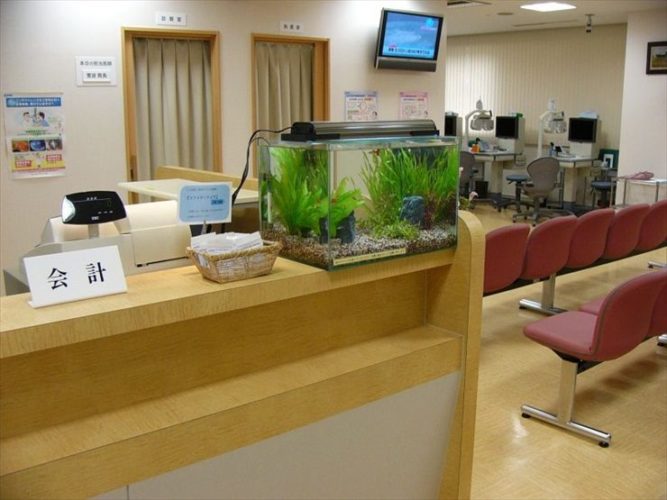 草加駅前すがなみ眼科 様  45cm淡水魚水槽 水槽レンタル事例のサムネイル画像