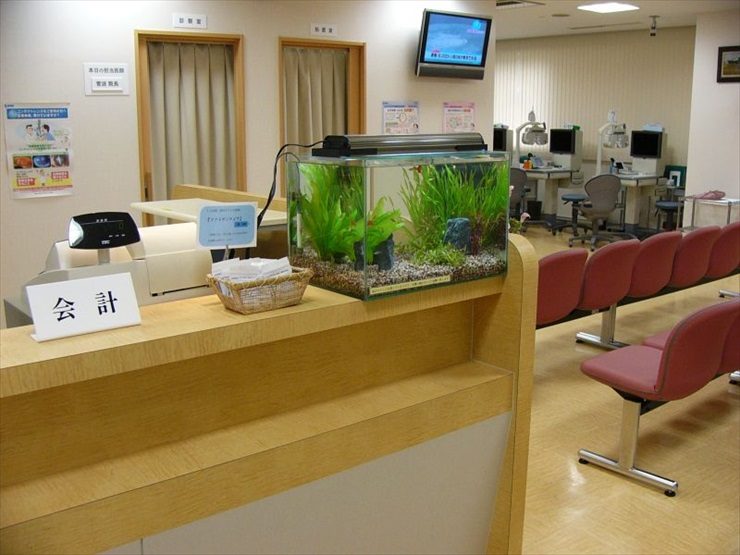 草加駅前すがなみ眼科 様 45cm淡水魚水槽 水槽レンタル事例 水槽画像1