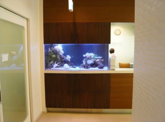 千葉県 産婦人科様 150cm海水魚水槽 設置事例のサムネイル画像