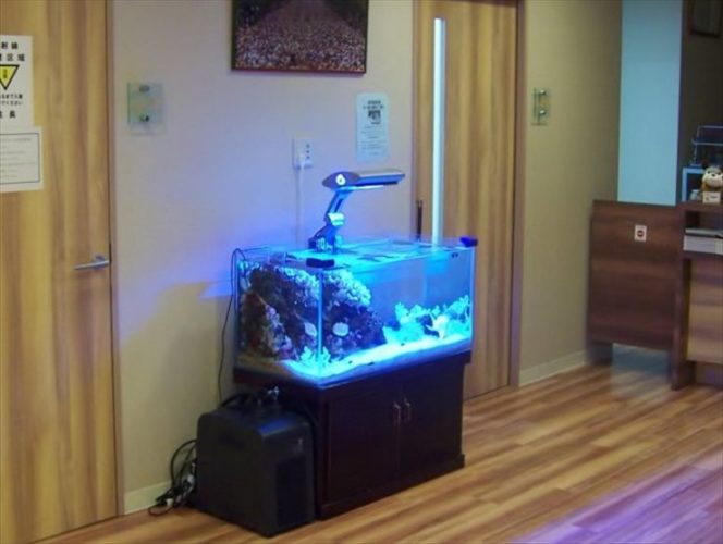 神奈川県川崎市 内科医院様  90cm海水魚水槽  設置事例のサムネイル画像
