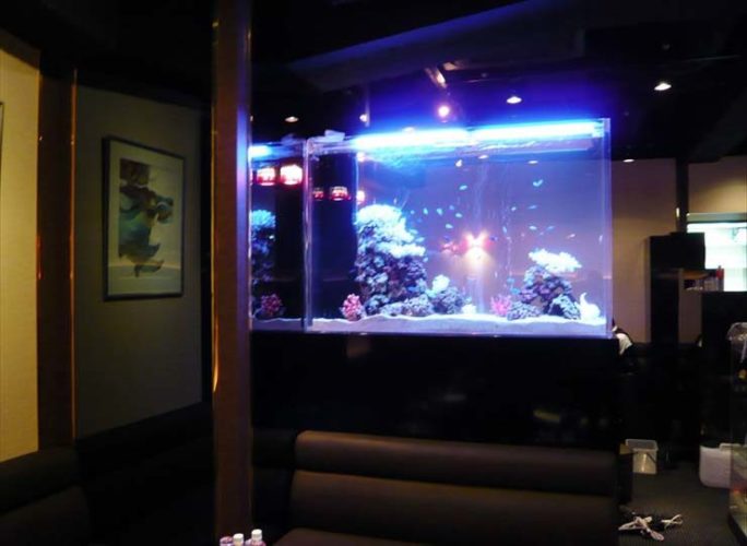 東京都新宿区 飲食店様  150cm海水魚水槽  レンタル事例のサムネイル画像
