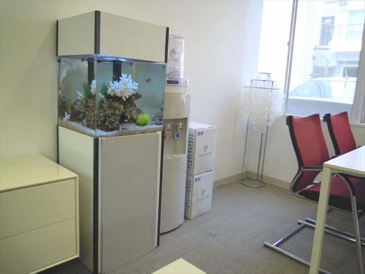 インデックス株式会社様 45cm海水魚水槽 設置事例 水槽画像2