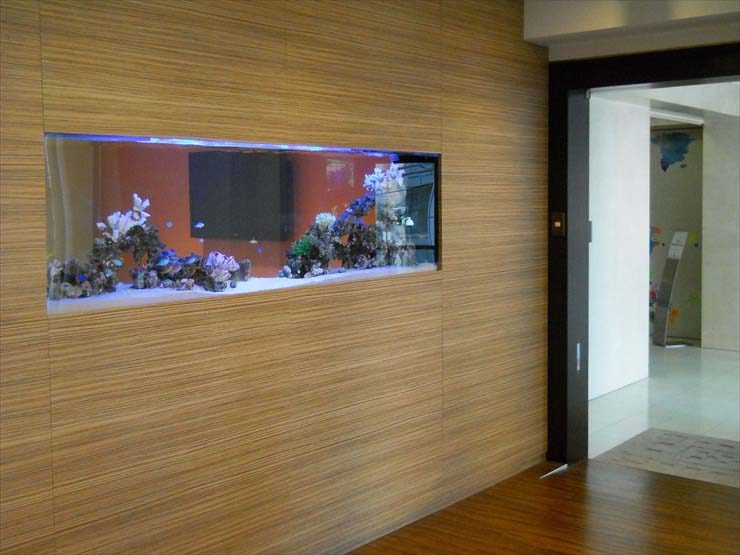 渋谷区 企業様 200cm海水魚水槽 販売・メンテナンス事例 水槽画像3