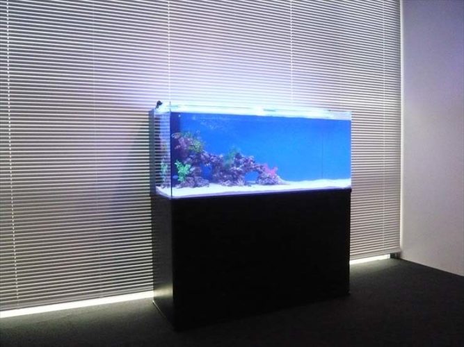 品川区 企業様  120cm海水魚水槽  設置事例のサムネイル画像