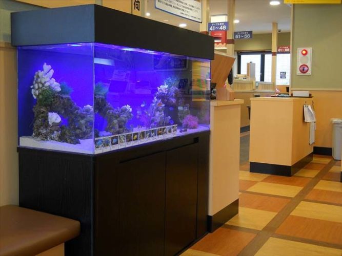 東京都江戸川区 飲食店様 120cm海水魚水槽 設置事例のサムネイル画像