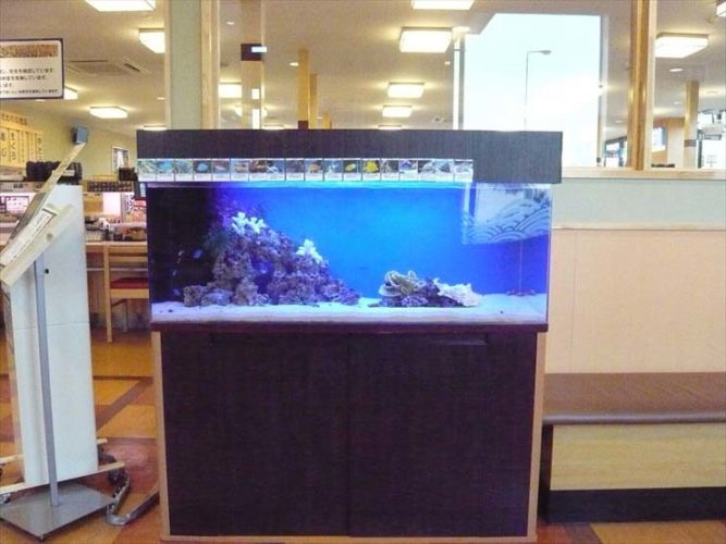 神奈川県厚木市 飲食店様  120cm海水魚水槽  設置事例 メイン画像