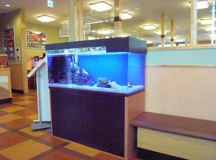 神奈川県厚木市 飲食店様 120cm海水魚水槽 設置事例 水槽画像3
